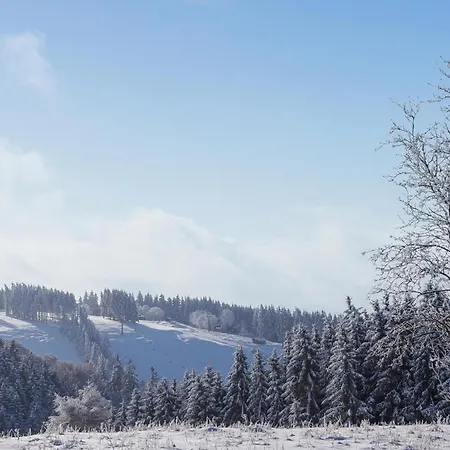 Prázdninový dům Ferienhauspark