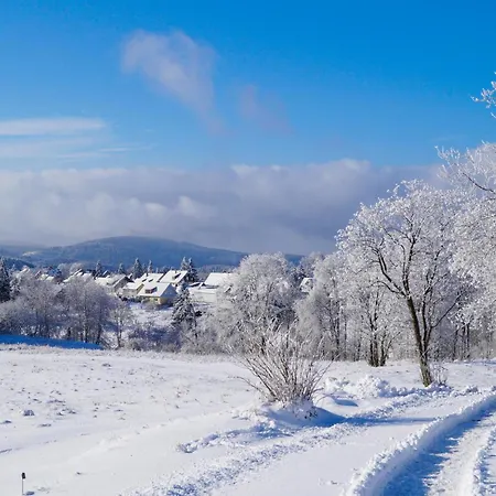 Ferienhauspark * Hasselfelde