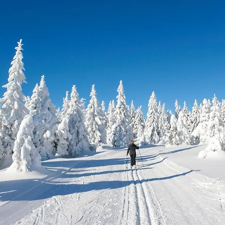 Prázdninový dům Ferienhauspark
