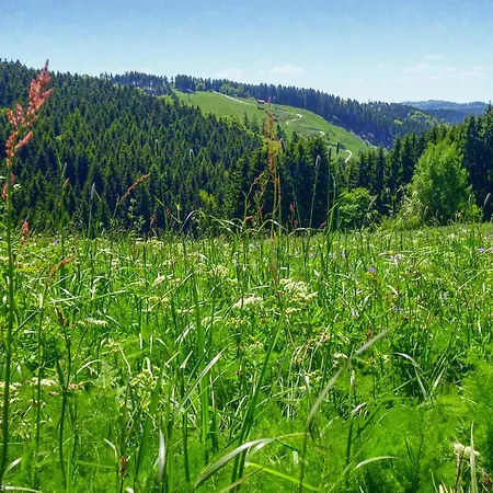 Casa de Férias Ferienhauspark Hasselfelde