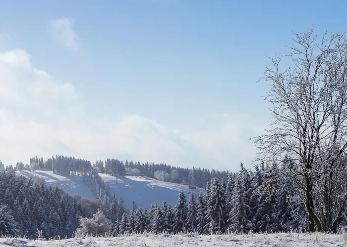 Prázdninový dům Ferienhauspark