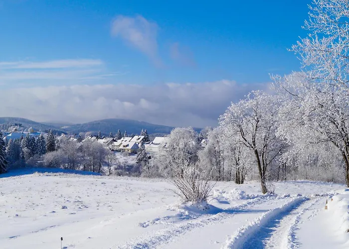 Ferienhauspark * Hasselfelde