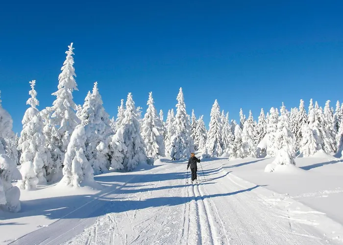 Prázdninový dům Ferienhauspark