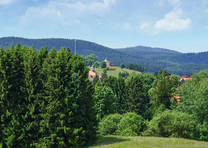 Ferienhauspark Hasselfelde