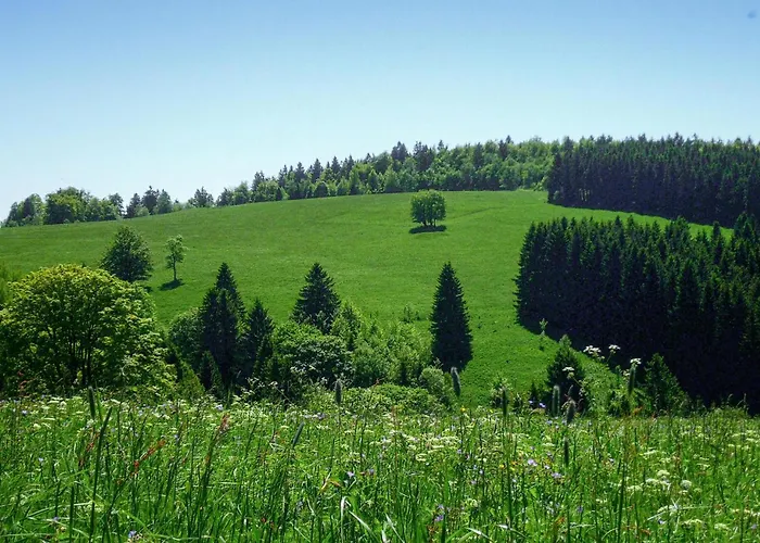 Prázdninový dům Ferienhauspark *
