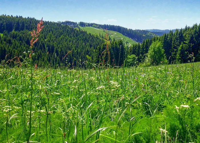 Prázdninový dům Ferienhauspark Hasselfelde